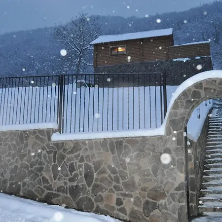 Sunny Mountain Vynohradiv